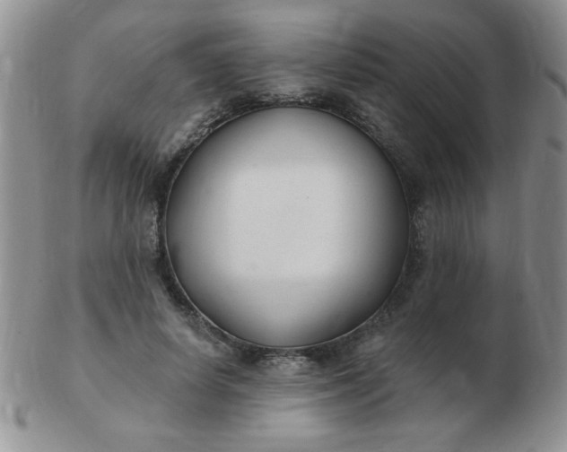 X0000103280642200809121946