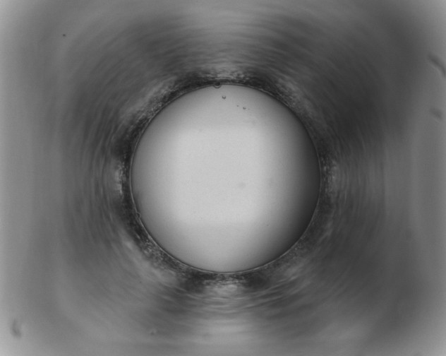 X0000103280643200809121946