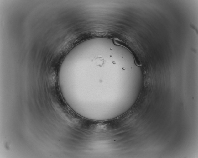 X0000103280647200809121946