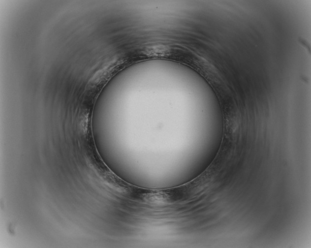 X0000103280652200809121946