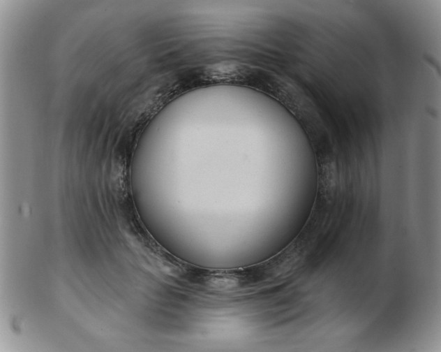 X0000103280653200809121946