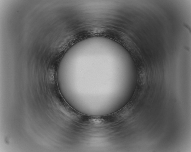 X0000103280654200809121946