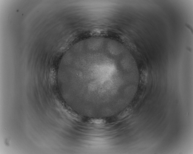 X0000103280659200809121946