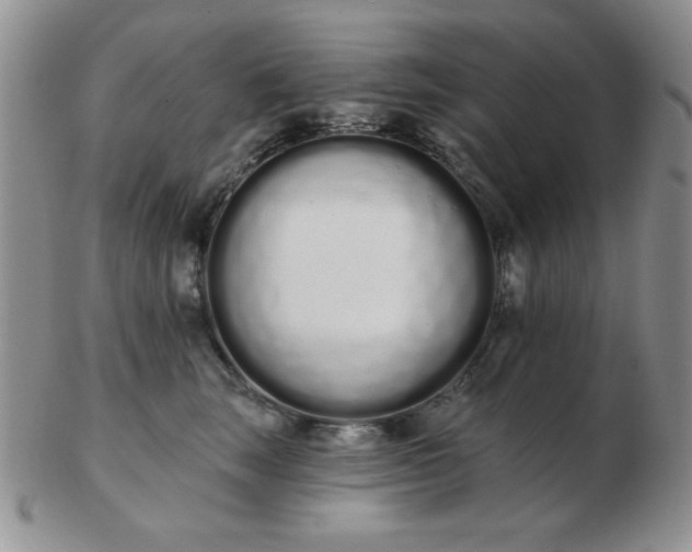 X0000103280663200809121946