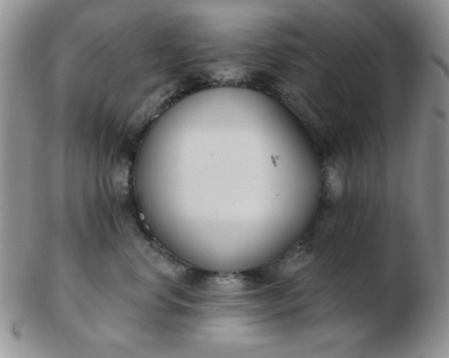 X0000103280668200809121946