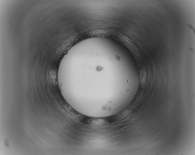 X0000103280669200809121946