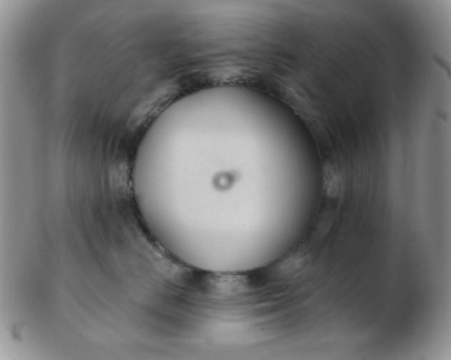 X0000103280670200809121946