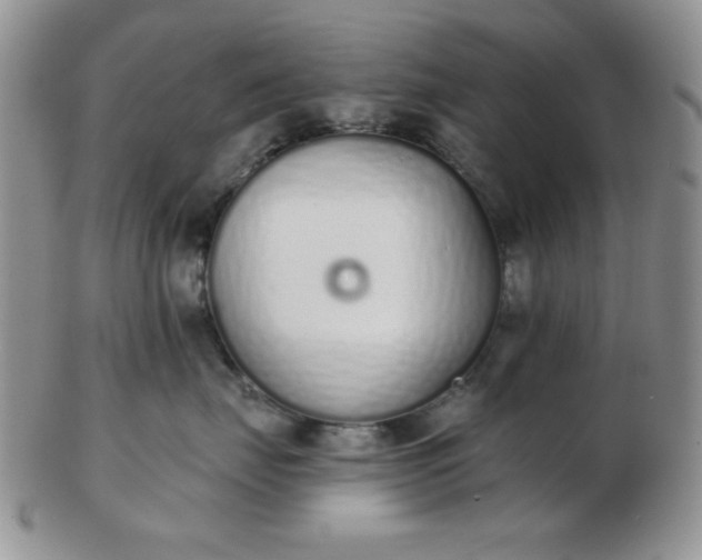 X0000103280671200809121946