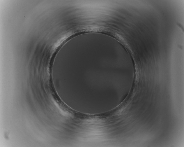 X0000103280674200809121946