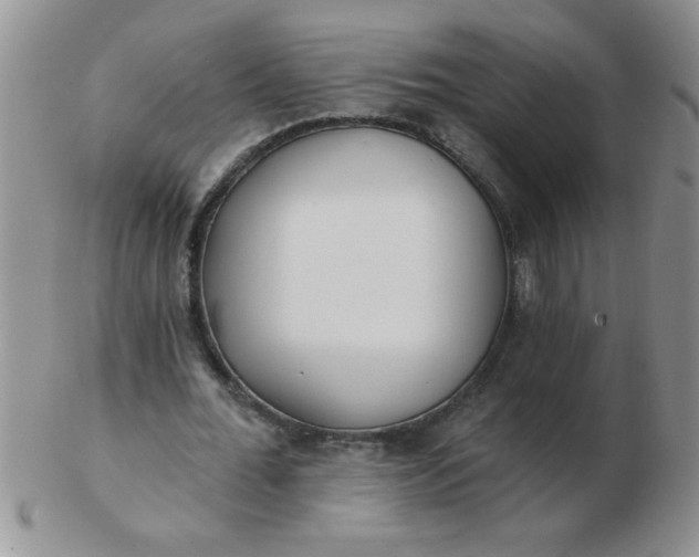 X0000103280676200809121945