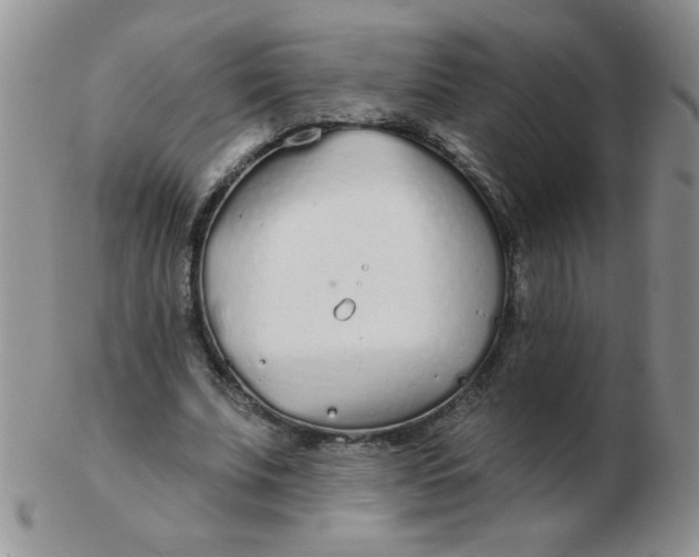 X0000103280679200809121945