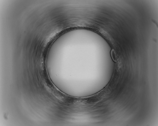 X0000103280680200809121945