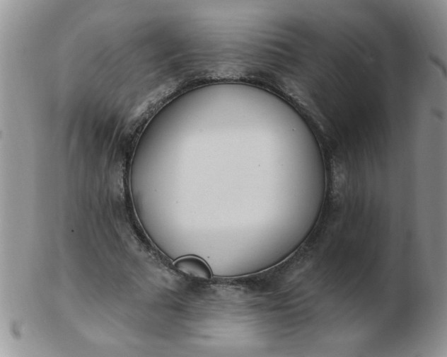 X0000103280681200809121945