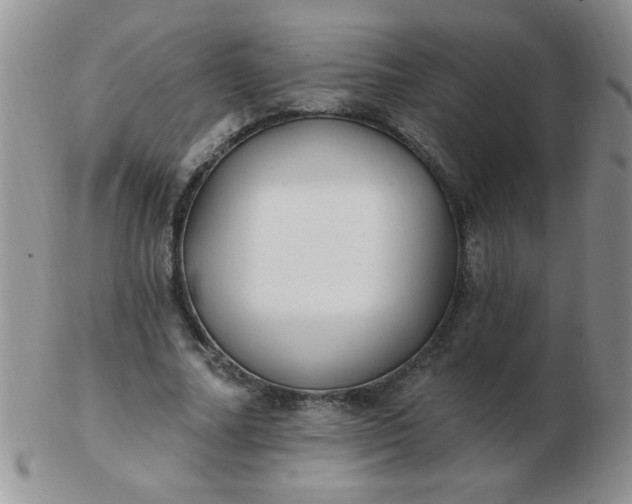 X0000103280682200809121945