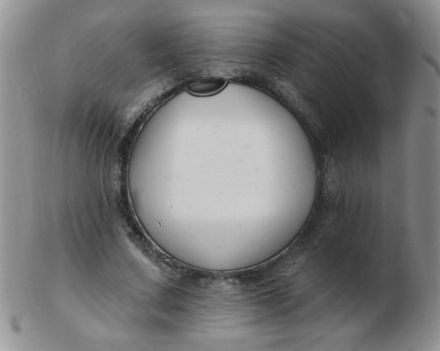 X0000103280683200809121945