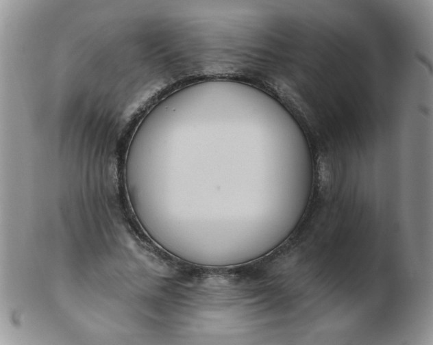 X0000103280684200809121945