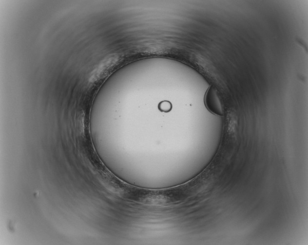 X0000103280685200809121945