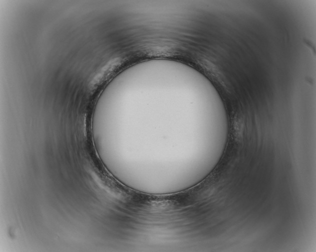 X0000103280686200809121945