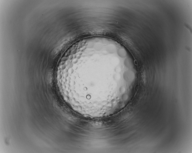 X0000103280687200809121945