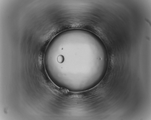 X0000103280691200809121945