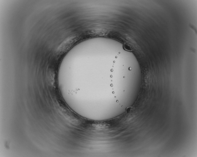 X0000103280693200809121945