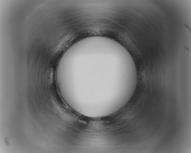 X0000103280694200809121945