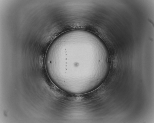 X0000103280695200809121945