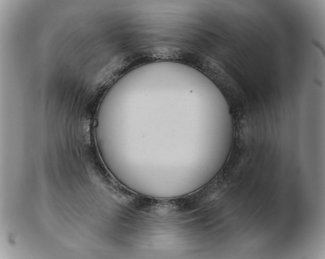 X0000103280696200809121945