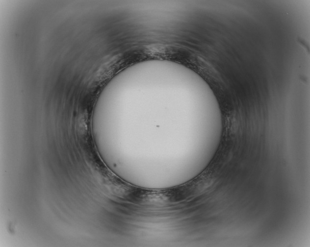 X0000103280702200809121945