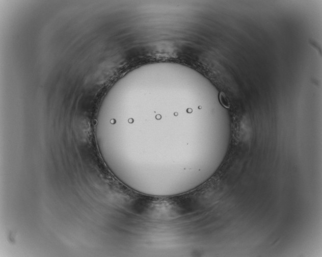 X0000103280704200809121945