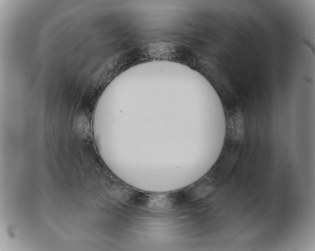 X0000103280705200809121945