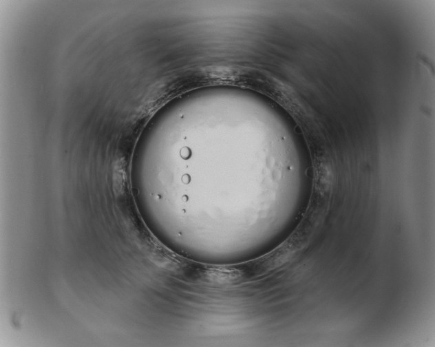 X0000103280707200809121945