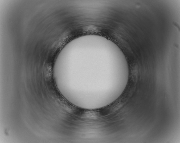 X0000103280708200809121945