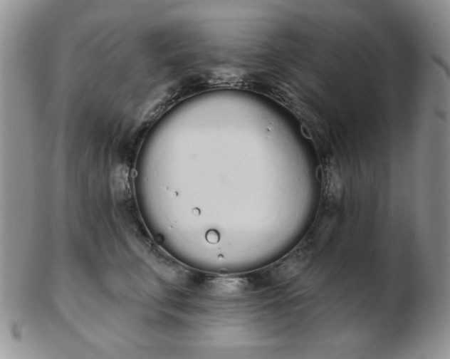 X0000103280711200809121945