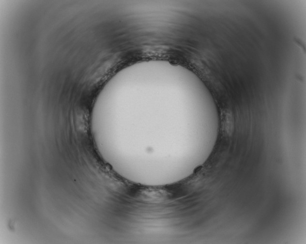 X0000103280712200809121945