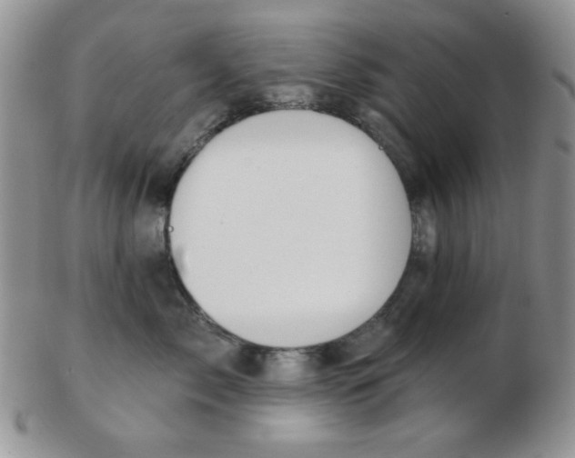 X0000103280717200809121945