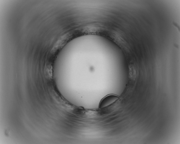 X0000103280718200809121945