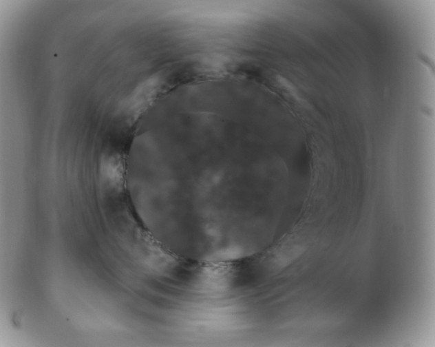 X0000103280720200809121945