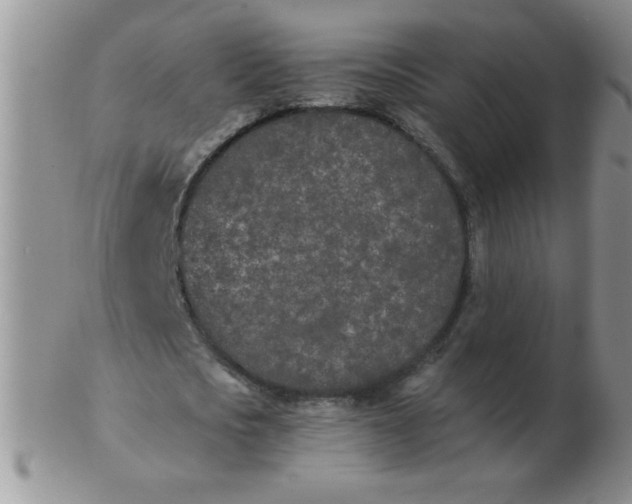 X0000103280721200809121944