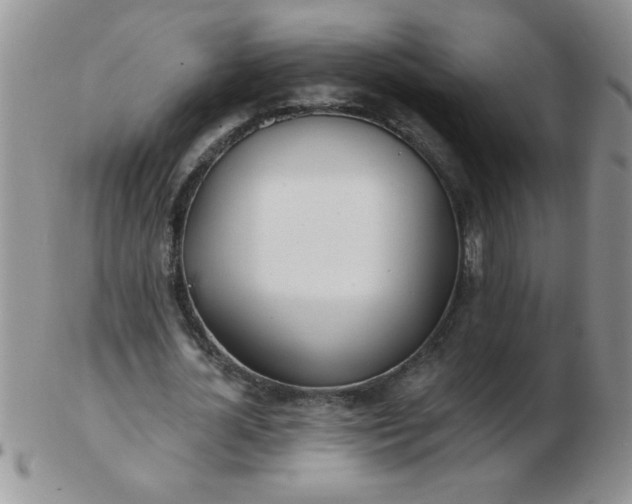 X0000103280724200809121944