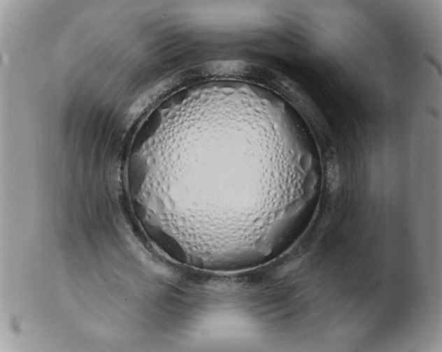 X0000103280725200809121944