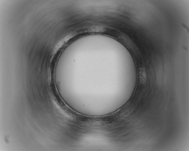 X0000103280726200809121944