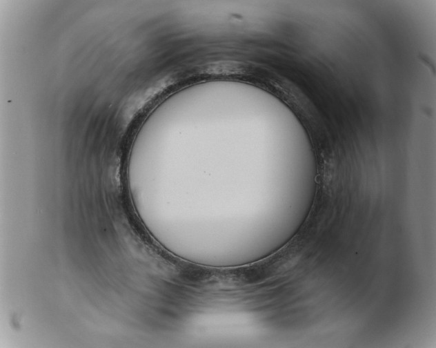 X0000103280727200809121944