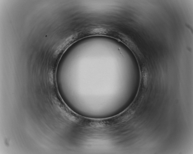 X0000103280729200809121944