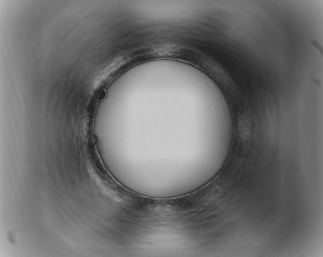 X0000103280730200809121944