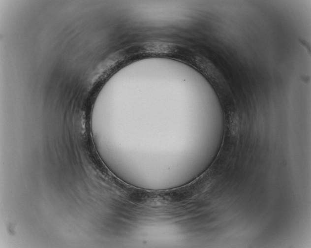 X0000103280731200809121944