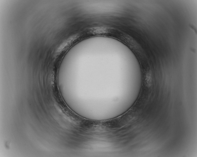 X0000103280732200809121944