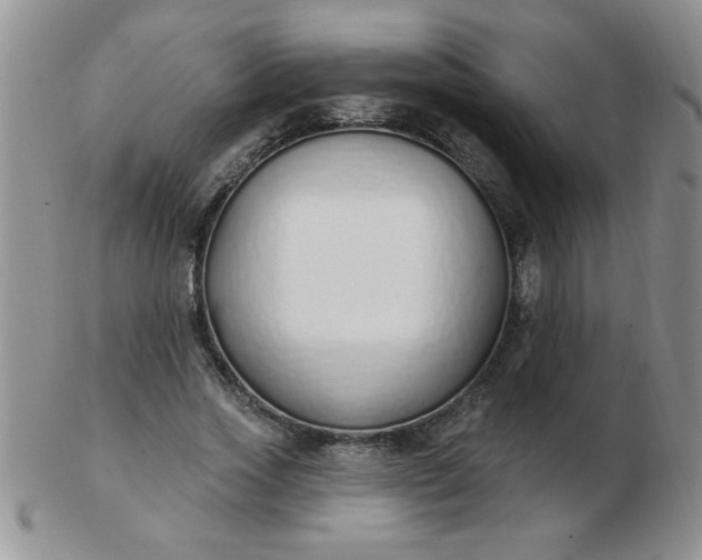 X0000103280733200809121944