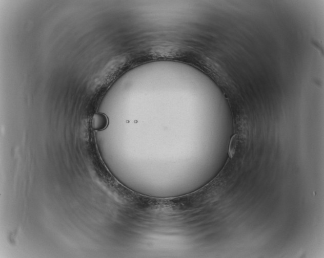 X0000103280738200809121944