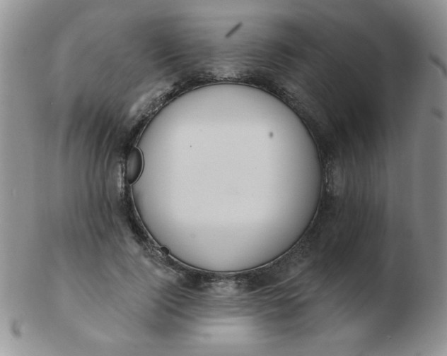 X0000103280740200809121944